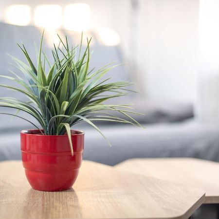 Apartamentos La Mota - Centrico Mota Del Cuervo Ngoại thất bức ảnh
