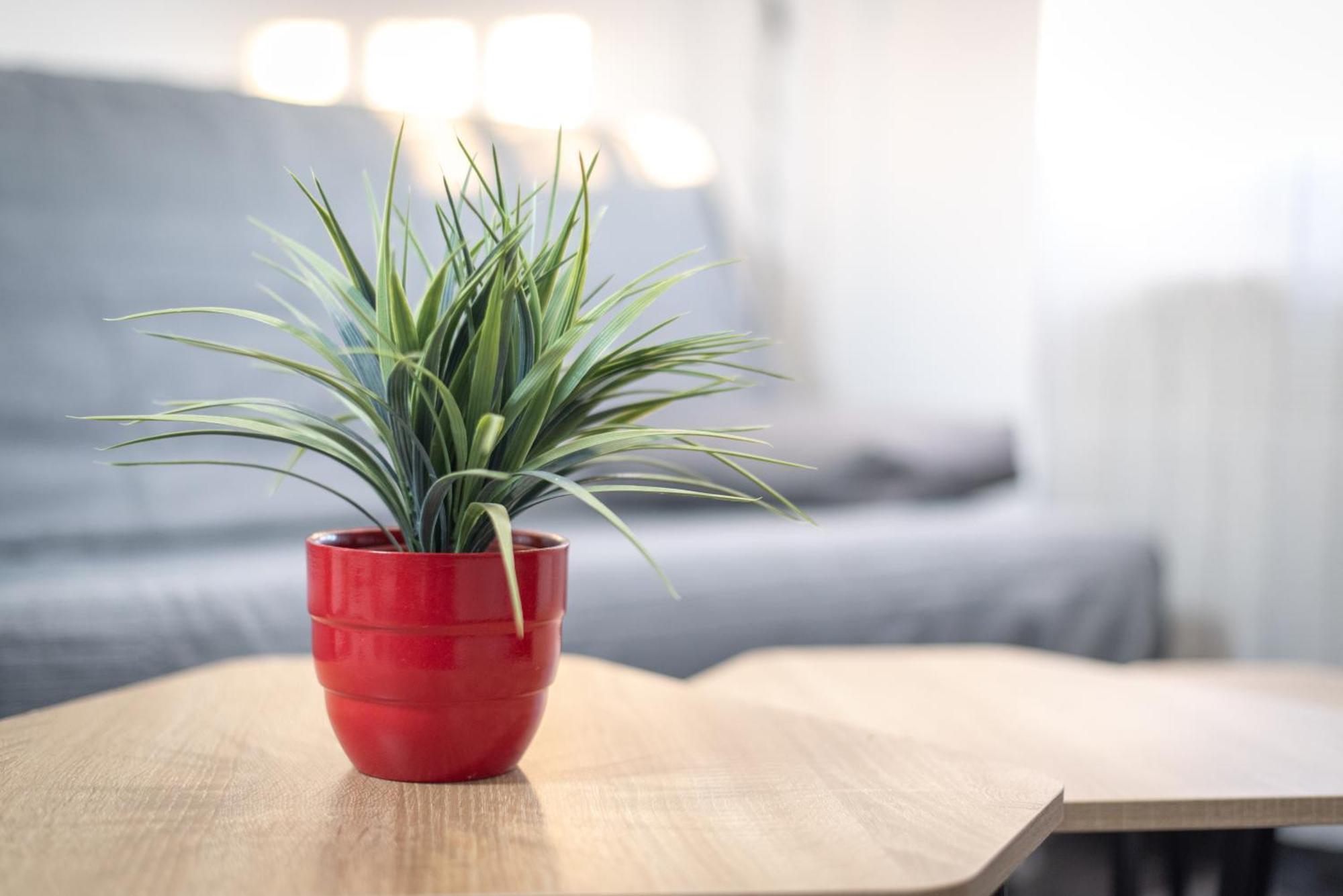 Apartamentos La Mota - Centrico Mota Del Cuervo Ngoại thất bức ảnh